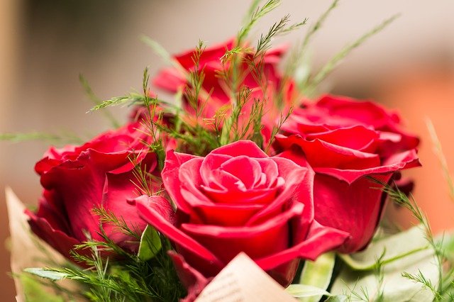 Ilustrativna fotografija buketa s crvenom ružom 